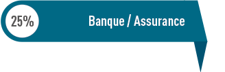 Banque / Assurance : 25%